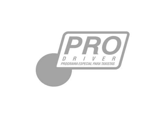 Pro Driver