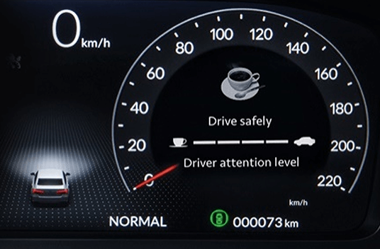 Driver Attention Monitor