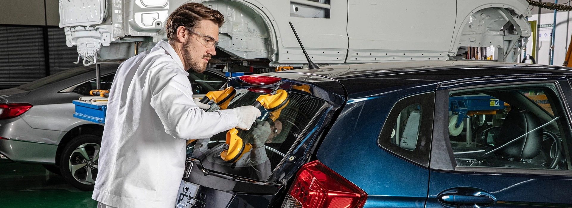 Assistência Especializada