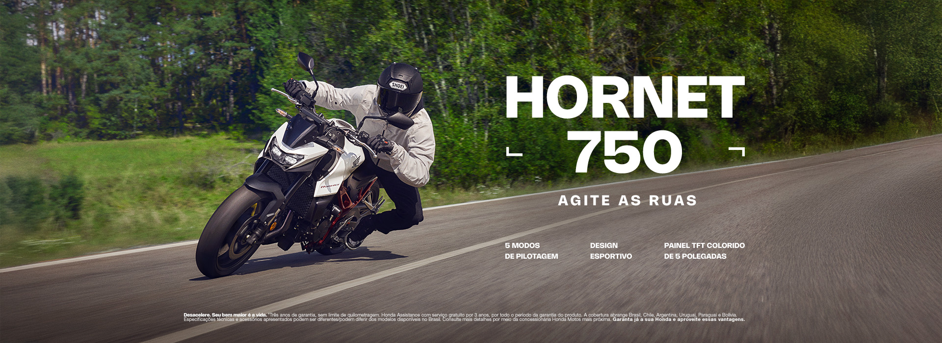 Banner Honda Hornet 750