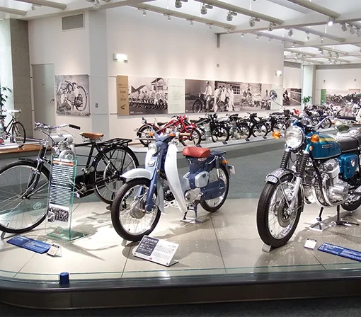 Blog Asas da Liberdade