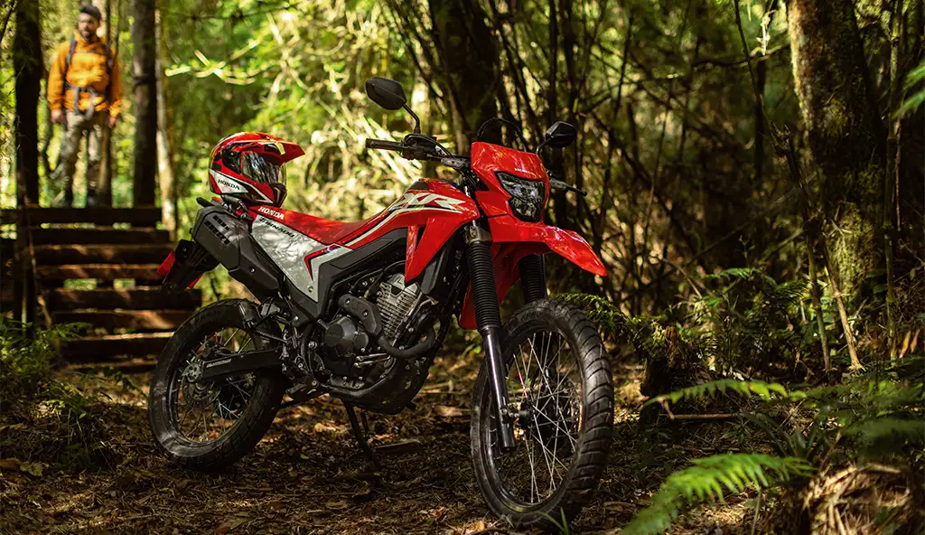 Versatilidade da Moto Honda XR 300L Tornado