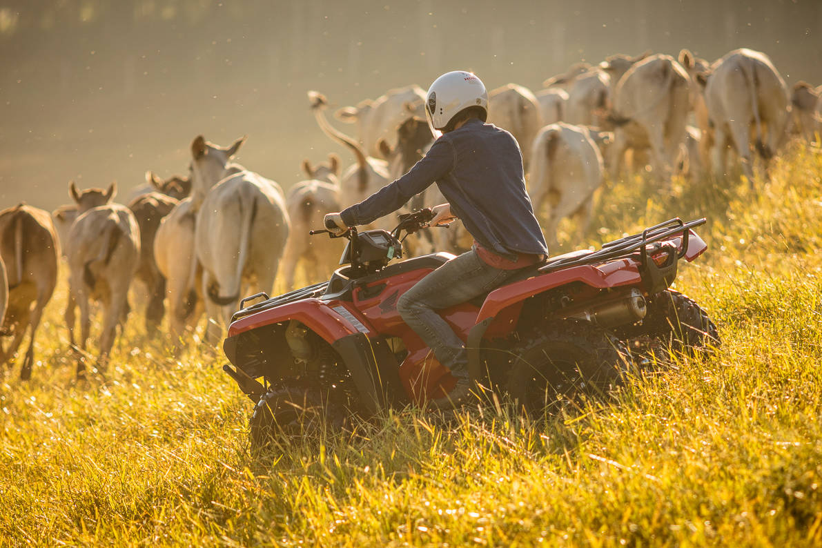 Quadriciclo Honda no pasto