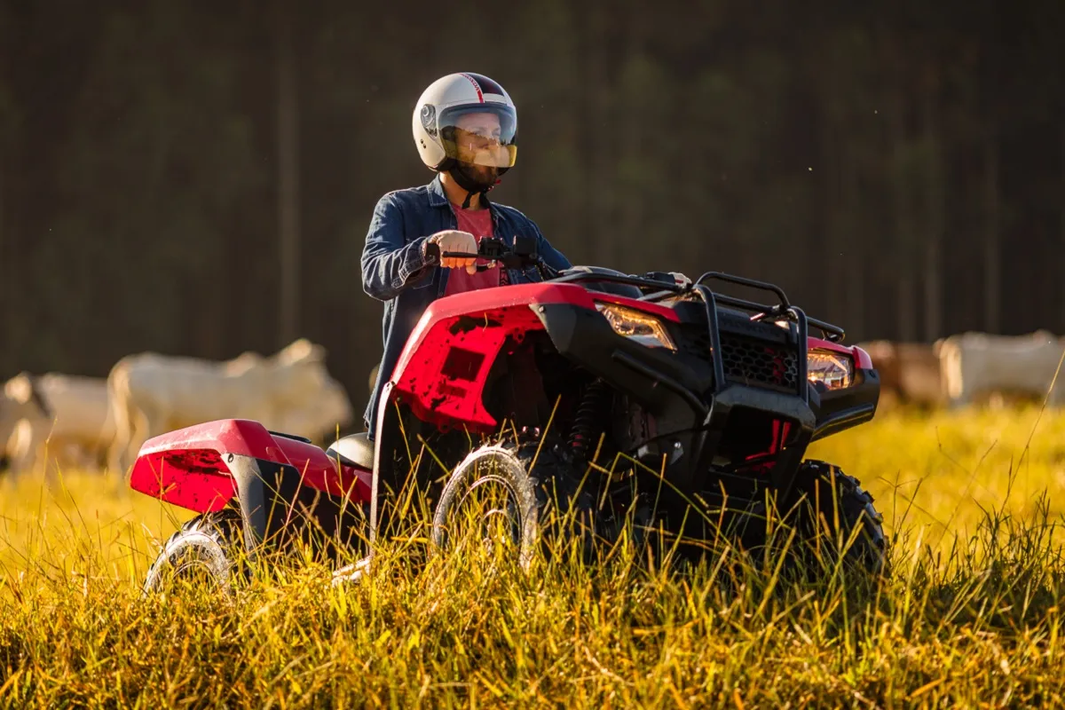 Honda CRF 250F: a melhor moto de trilha para iniciantes - Motopel  Concessionária de Motos Honda