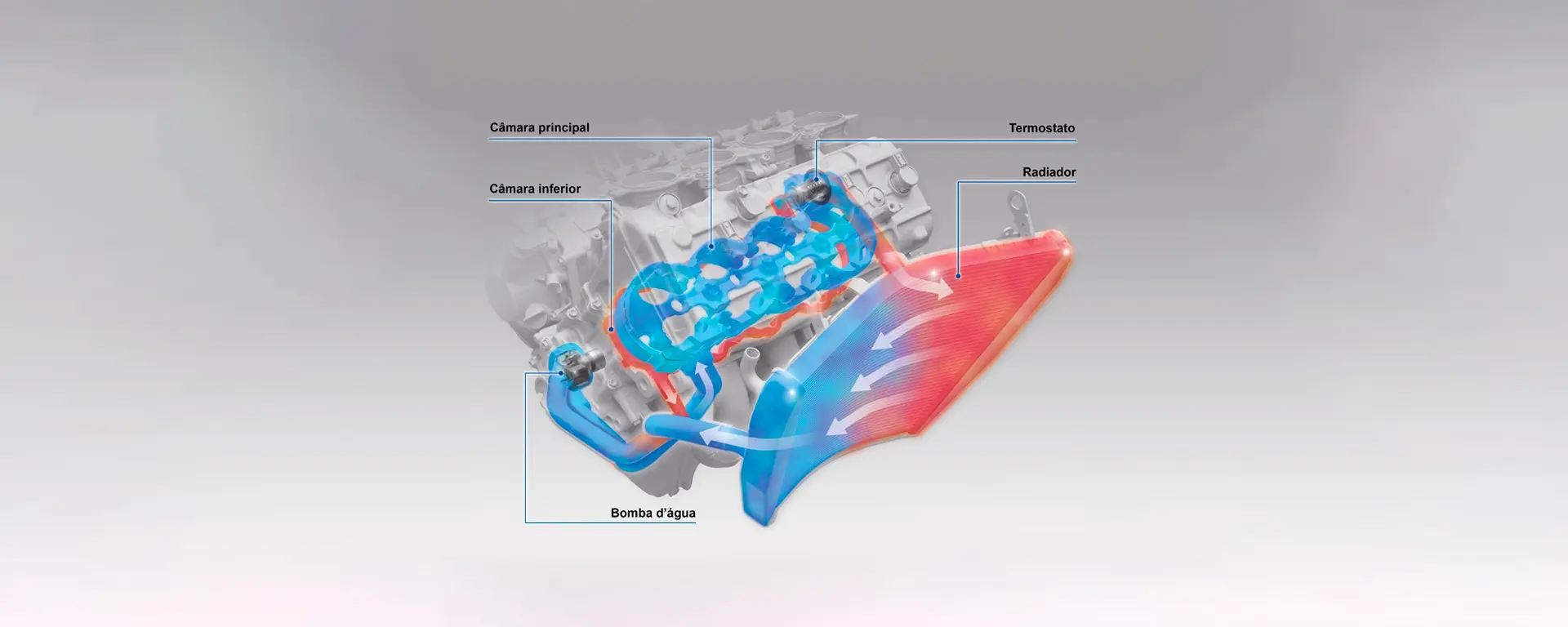 Refrigeração Bypass da Moto Honda CBR 1000RR R Fireblade SP