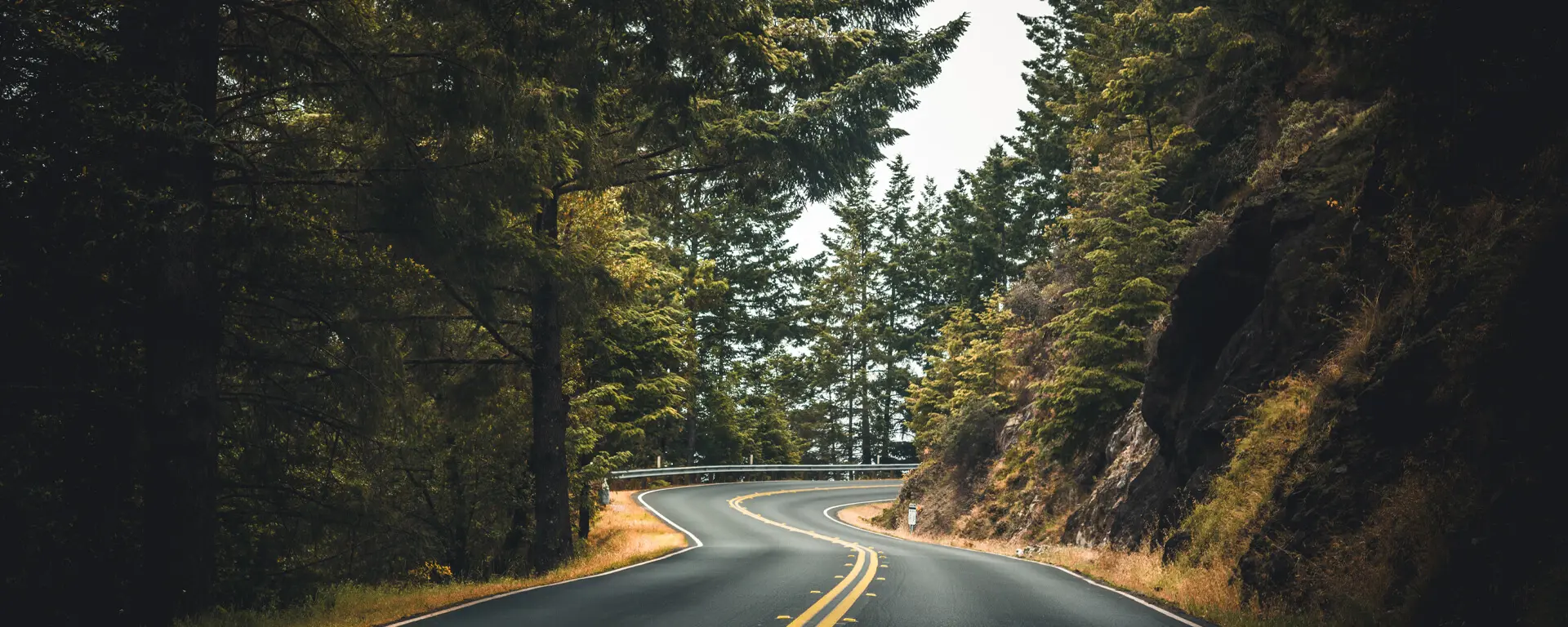 Estrada no meio da Floresta