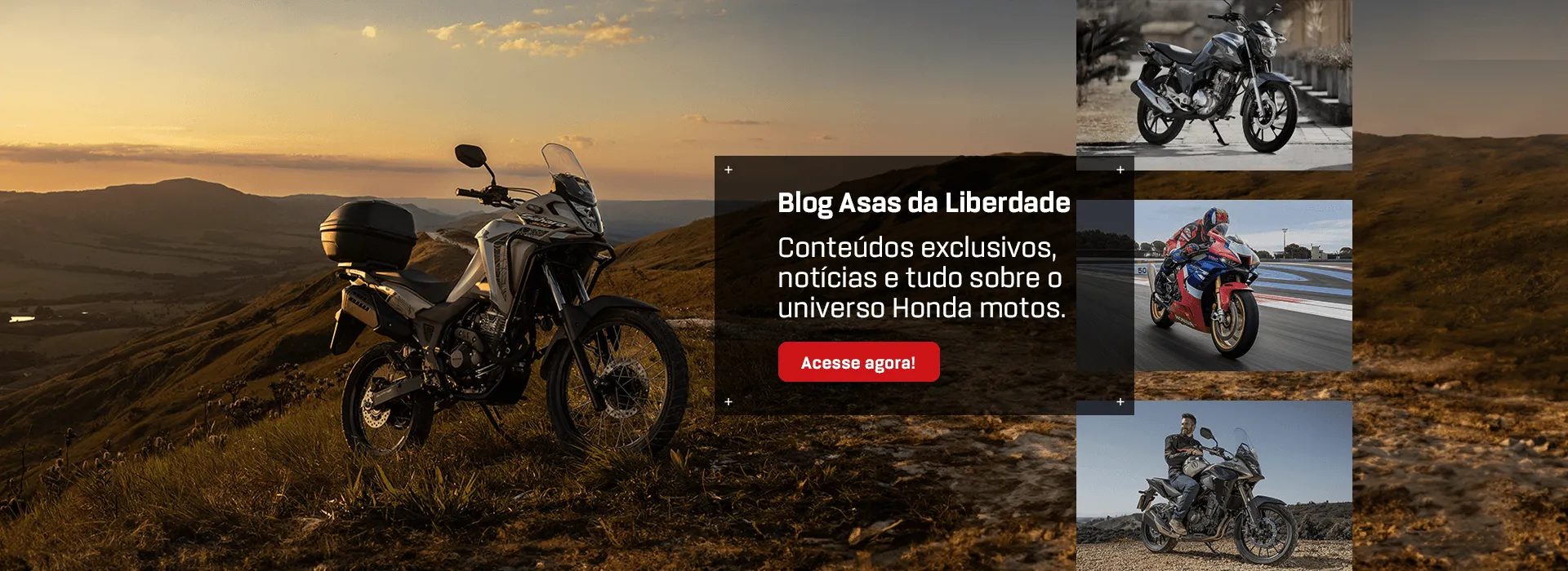 Blog Asas da Liberdade