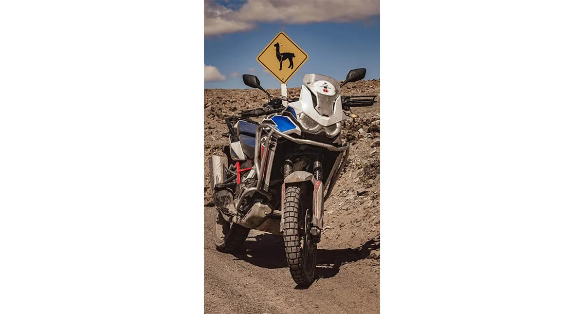 Motocicleta Honda CRF 1100L Africa Twin com placa de animais silvestres na estrada de terra