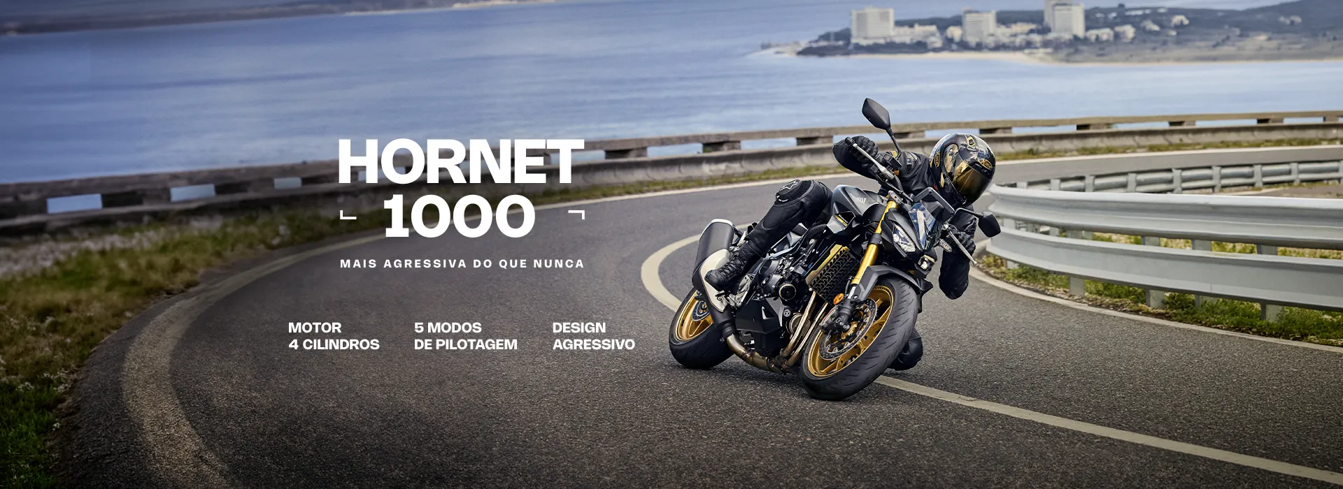 Banner Desktop CB1000 - Hornet