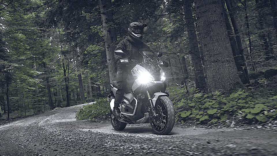 Piloto passando por trilha em floresta