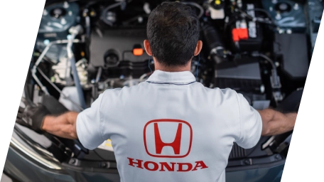 Profissional verificando interior do automóvel