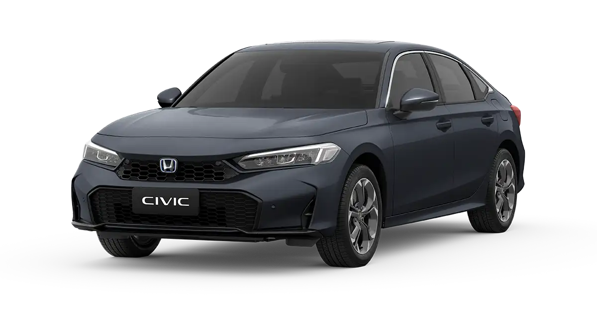 Cinza Basalto Metálico